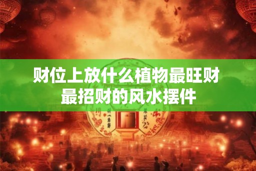 财位上放什么植物最旺财 最招财的风水摆件