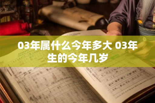 03年属什么今年多大 03年生的今年几岁