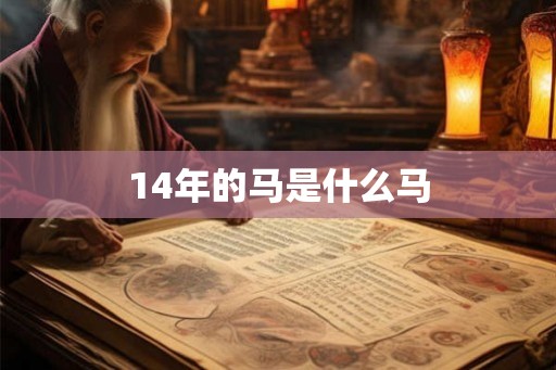 14年的马是什么马