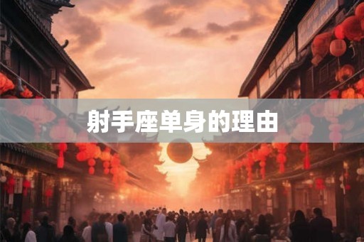 射手座单身的理由