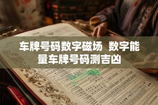 车牌号码数字磁场 数字能量车牌号码测吉凶 车牌号码数字磁场 数字能量车牌号码测吉凶