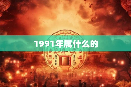 1991年属什么的