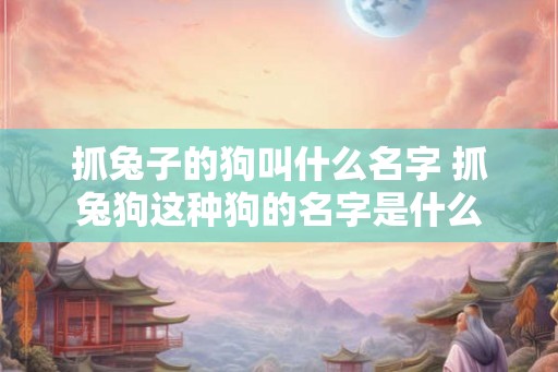 抓兔子的狗叫什么名字 抓兔狗这种狗的名字是什么