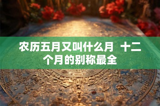 农历五月又叫什么月  十二个月的别称最全