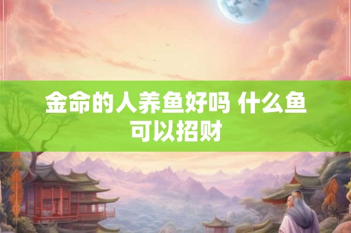 金命的人养鱼好吗 什么鱼可以招财