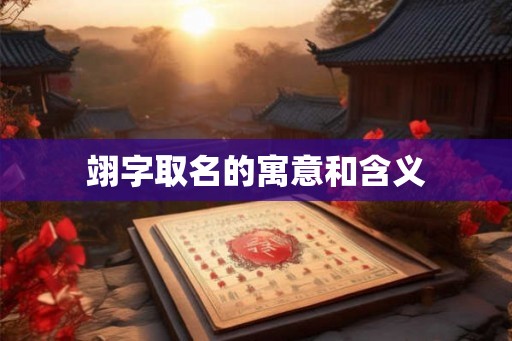 翊字取名的寓意和含义