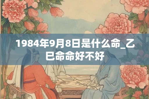 1984年9月8日是什么命_乙巳命命好不好