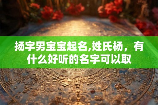 扬字男宝宝起名,姓氏杨，有什么好听的名字可以取