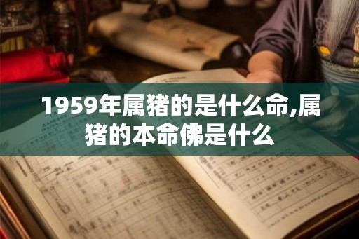 1959年属猪的是什么命,属猪的本命佛是什么