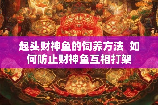 起头财神鱼的饲养方法  如何防止财神鱼互相打架