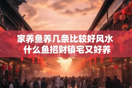 家养鱼养几条比较好风水  什么鱼招财镇宅又好养