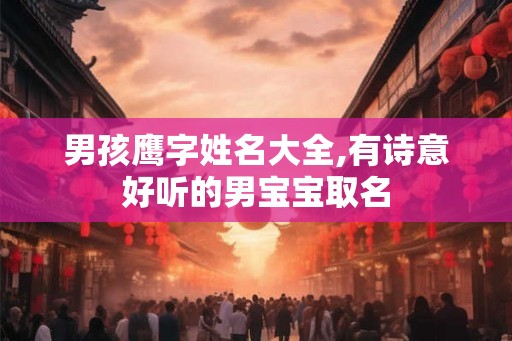 男孩鹰字姓名大全,有诗意好听的男宝宝取名