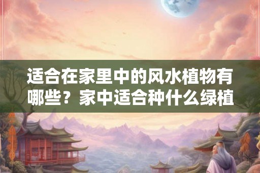适合在家里中的风水植物有哪些？家中适合种什么绿植？