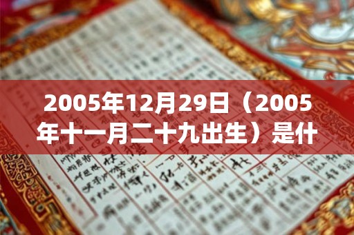 2005年12月29日（2005年十一月二十九出生）是什么命_命运如何
