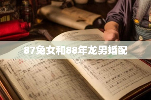 87兔女和88年龙男婚配