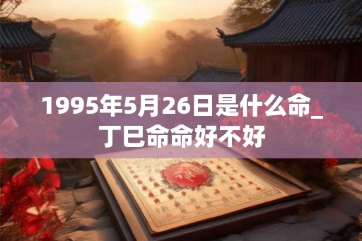 1995年5月26日是什么命_丁巳命命好不好