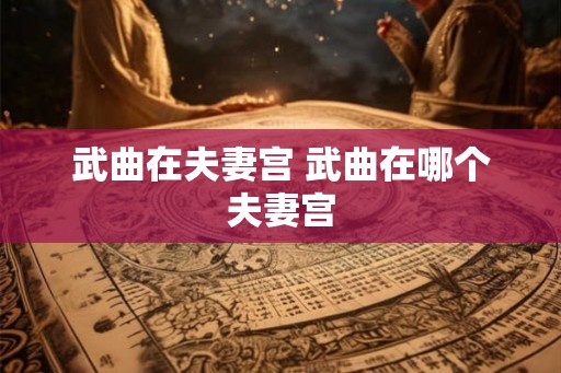 武曲在夫妻宫 武曲在哪个夫妻宫 武曲在夫妻宫 武曲在哪个夫妻宫