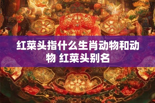 红菜头指什么生肖动物和动物 红菜头别名