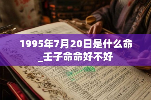 1995年7月20日是什么命_壬子命命好不好