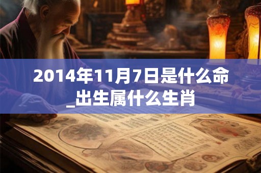 2014年11月7日是什么命_出生属什么生肖