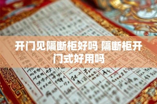 开门见隔断柜好吗 隔断柜开门式好用吗