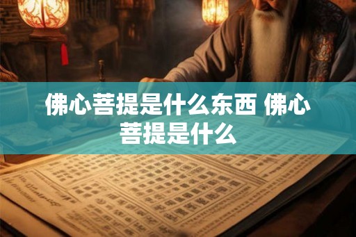 佛心菩提是什么东西 佛心菩提是什么 佛心菩提是什么东西 佛心菩提是什么