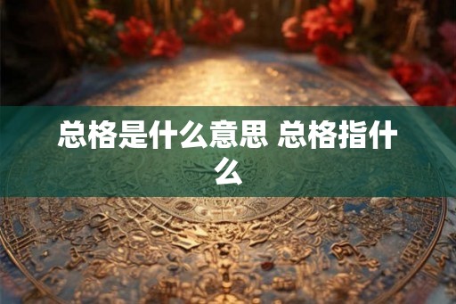 总格是什么意思 总格指什么