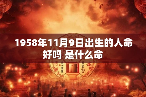1958年11月9日出生的人命好吗 是什么命