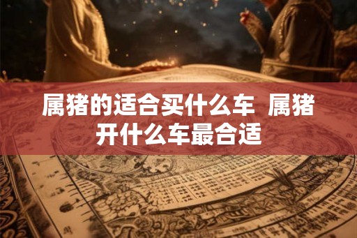 属猪的适合买什么车  属猪开什么车最合适