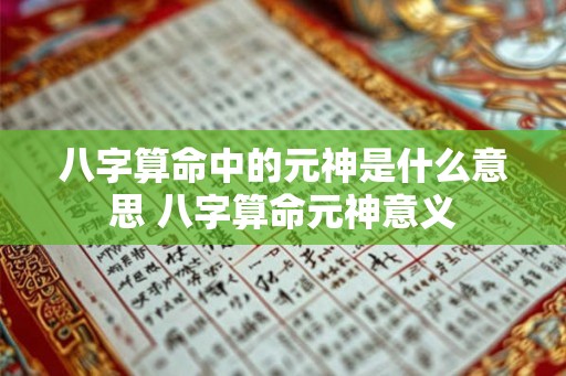 八字算命中的元神是什么意思 八字算命元神意义