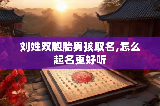 刘姓双胞胎男孩取名,怎么起名更好听