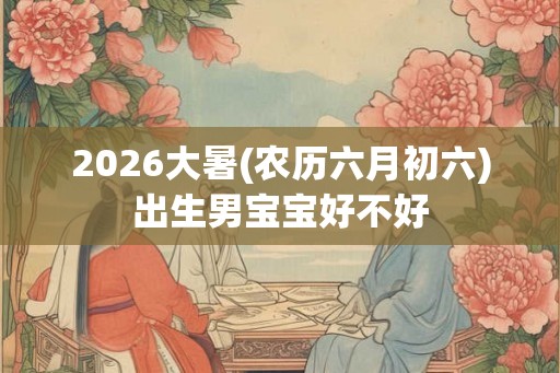 2026大暑(农历六月初六)出生男宝宝好不好