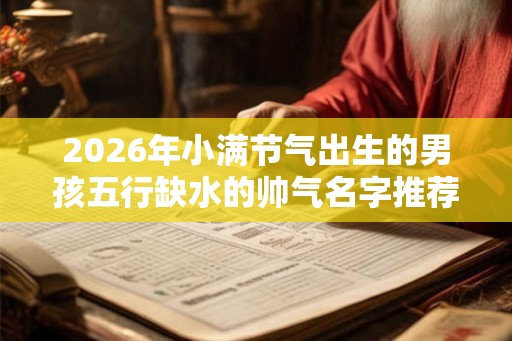 2026年小满节气出生的男孩五行缺水的帅气名字推荐