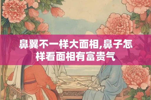 鼻翼不一样大面相,鼻子怎样看面相有富贵气