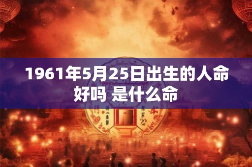 1961年5月25日出生的人命好吗 是什么命