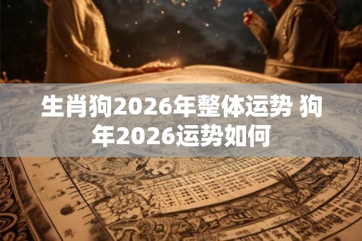 生肖狗2026年整体运势 狗年2026运势如何 生肖狗2026年整体运势 狗年2026运势如何