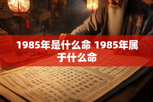1985年是什么命 1985年属于什么命
