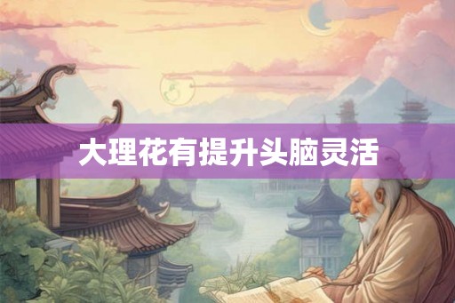 大理花有提升头脑灵活