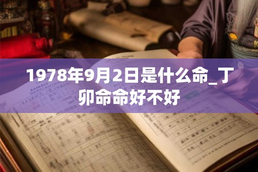 1978年9月2日是什么命_丁卯命命好不好
