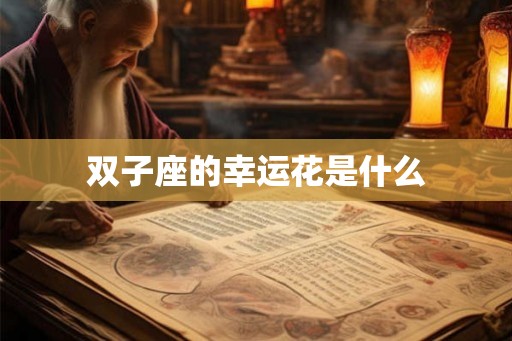 双子座的幸运花是什么