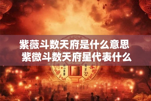 紫薇斗数天府是什么意思  紫微斗数天府星代表什么