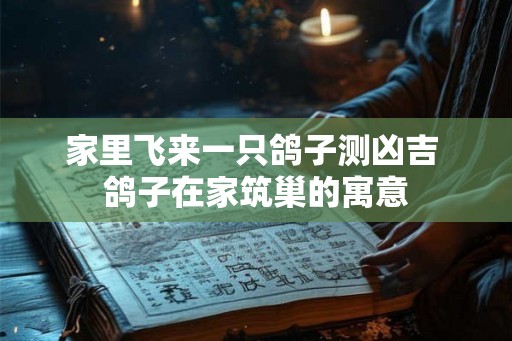 家里飞来一只鸽子测凶吉 鸽子在家筑巢的寓意