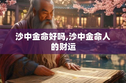 沙中金命好吗,沙中金命人的财运