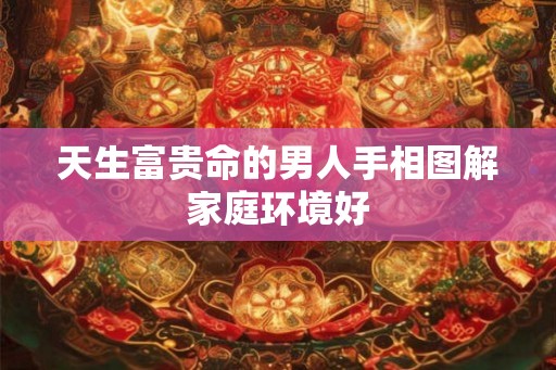 天生富贵命的男人手相图解家庭环境好