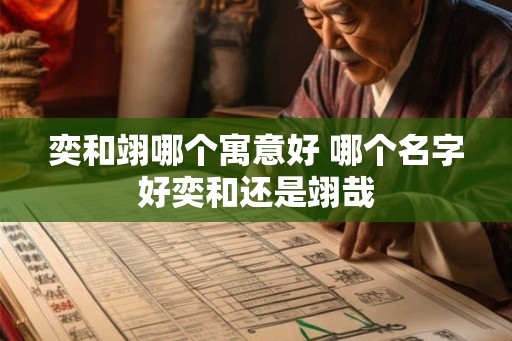 奕和翊哪个寓意好 哪个名字好奕和还是翊哉