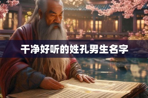 干净好听的姓孔男生名字