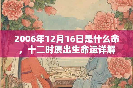 2006年12月16日是什么命，十二时辰出生命运详解