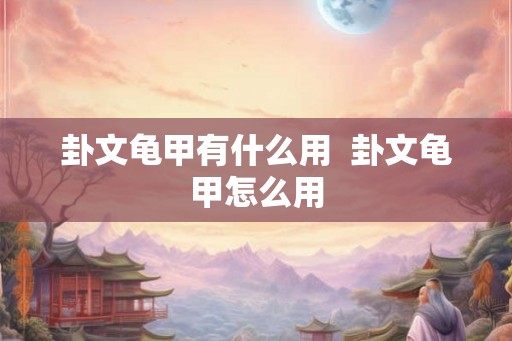 卦文龟甲有什么用  卦文龟甲怎么用