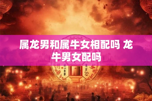 属龙男和属牛女相配吗 龙牛男女配吗 属龙男和属牛女相配吗 龙牛男女配吗