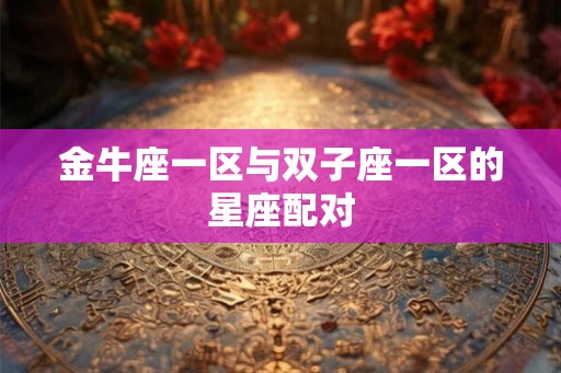 金牛座一区与双子座一区的星座配对
